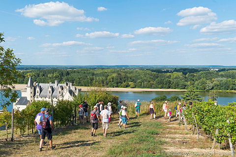 Une belle récompense pour Vignes Vins et Randos