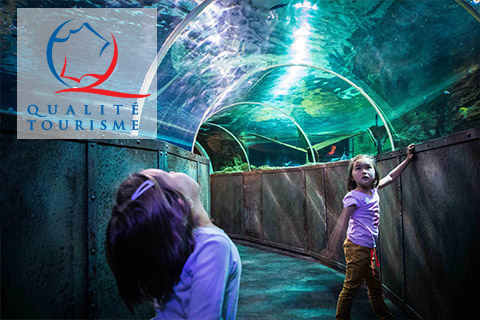 Le Grand Aquarium de Touraine labellisé QUALITÉ TOURISME