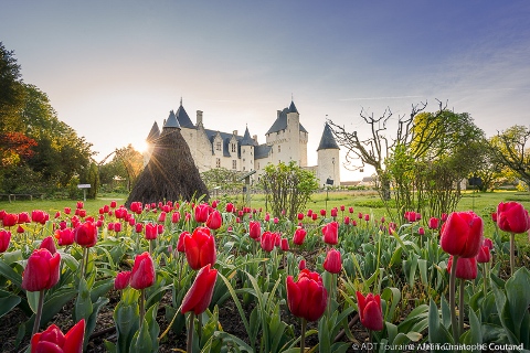 Nouveau : un escape garden au Rivau