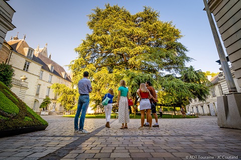 Appel à candidature : restaurant éphémère du Musée des Beaux-Arts de Tours